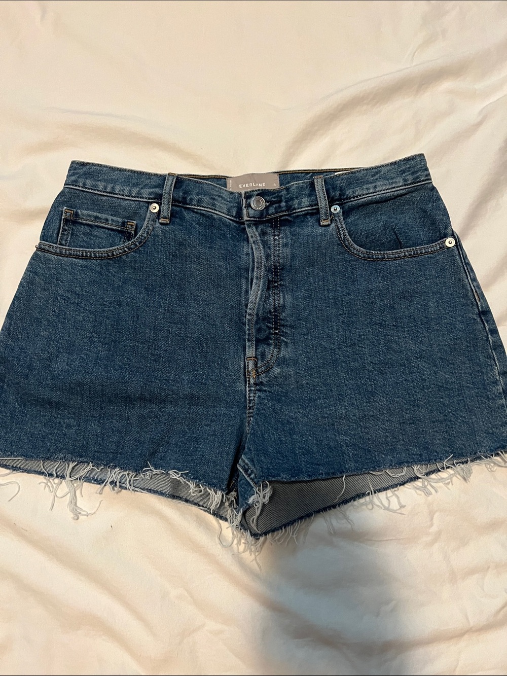 Everlane Cheeky Short High-Rise Raw Hem Denim